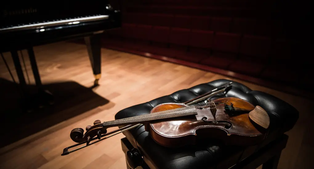 Солисты Российского национального молодёжного симфонического оркестра