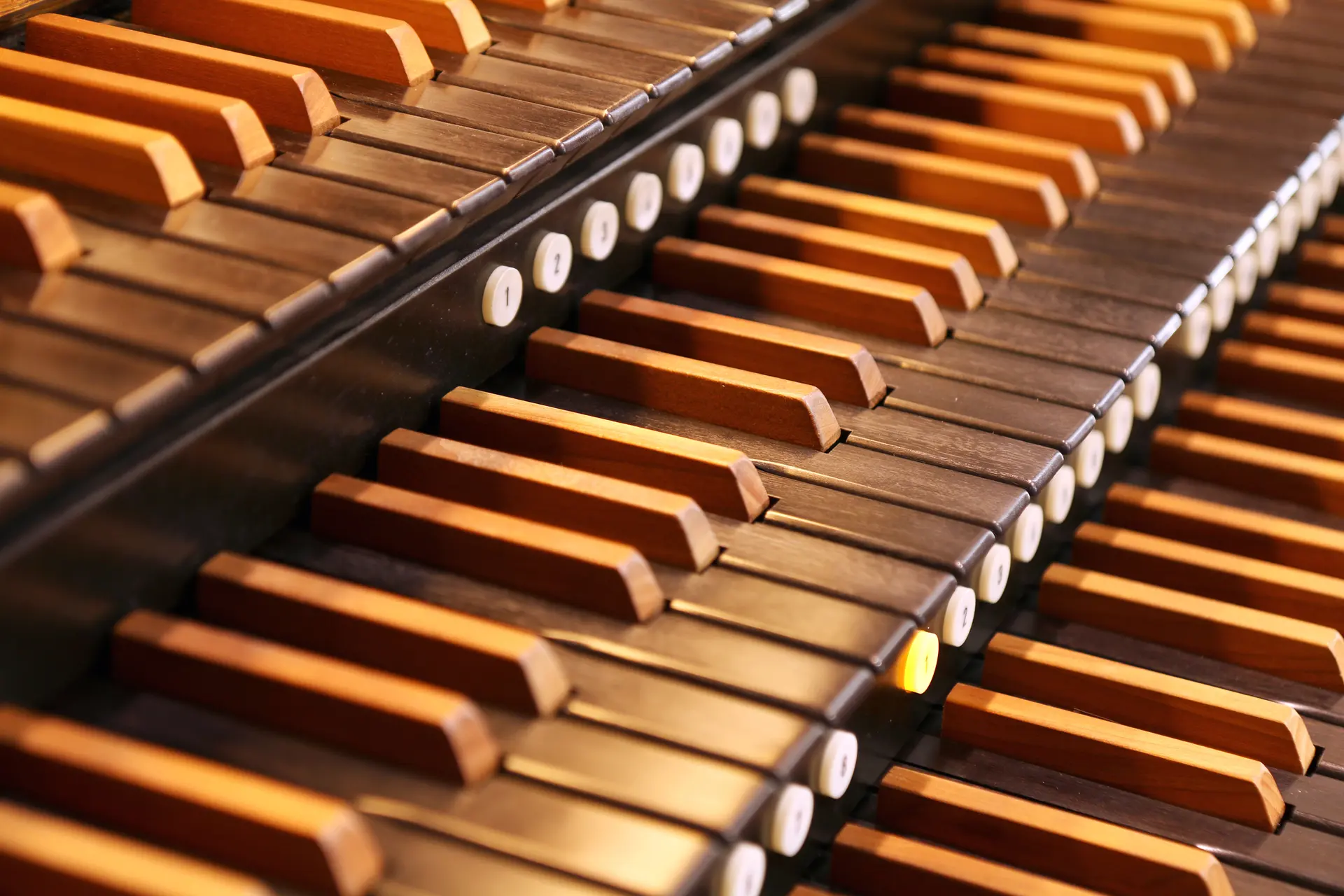 Органные вечера в Коломенском. Времена года Антонио Вивальди