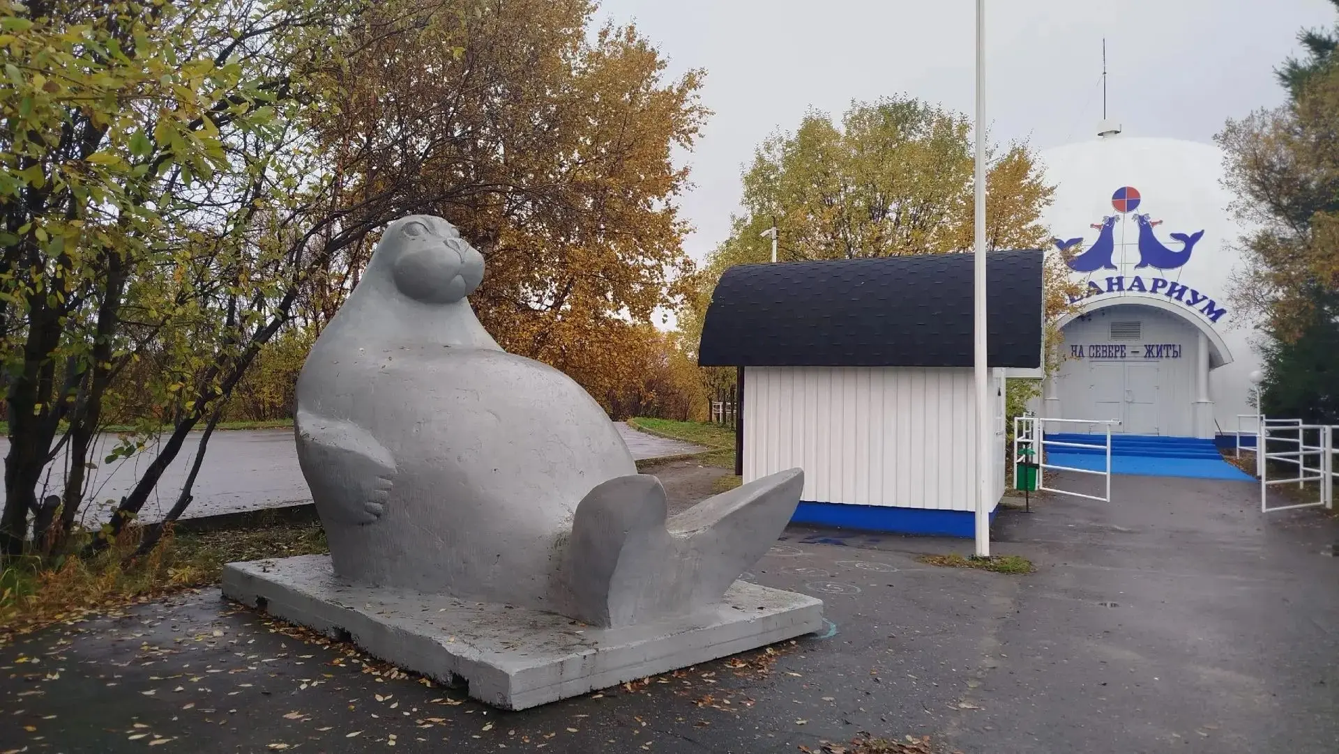 Выступление в Мурманском Океанариуме