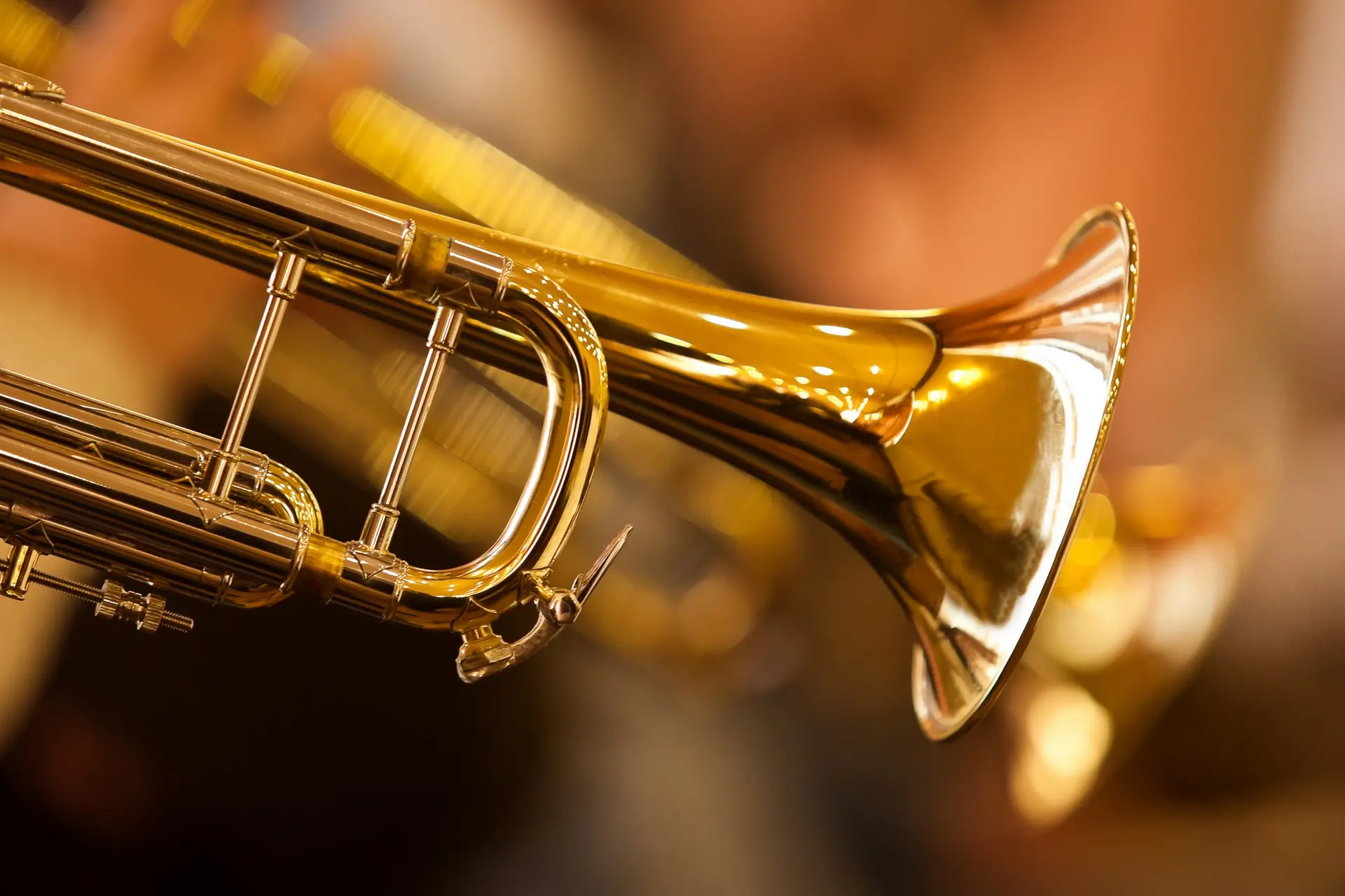 The Dan Barnett Big Band, Monica Trapaga