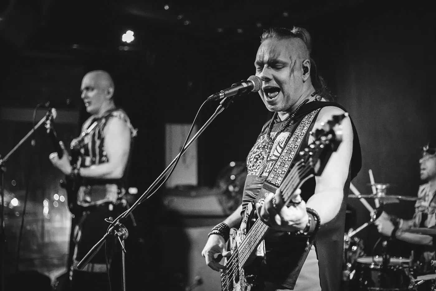 Скворцы Степанова